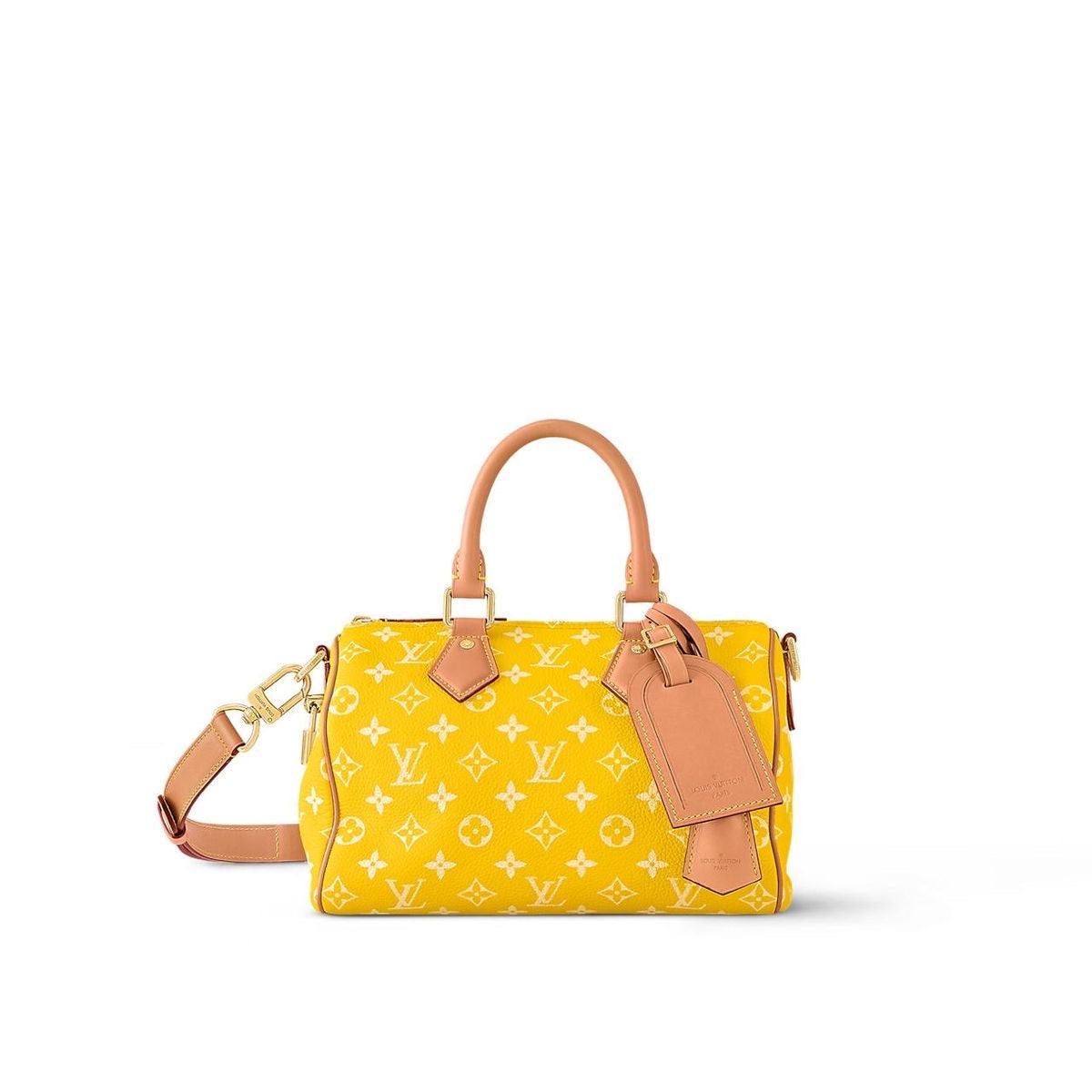 Louis Vuitton Speedy P9 Bandouliere 25 Bag